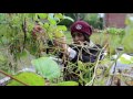 HDS Garden: Growing Food for the Community