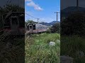 【踏切】国市踏切　 普通 高松行7200系電車（jr四国予讃線　比地大駅ー高瀬駅） jr四国 踏切 電車 踏切カンカン railroad crossing 鉄道