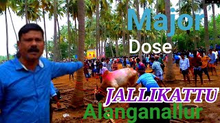 Alanganallur jallikattu behind the scenes explained. #jallikattu [4k Video] #MajorDose