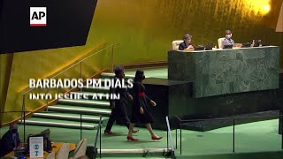 Barbados PM dials into issues at UN