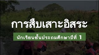 การสืบเสาะอิสระ เรื่อง การสำรวจส่วนประกอบของดิน ชั้นป.1