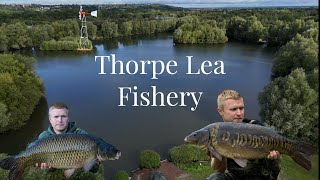 Carp Fishing At Thorpe Lea Fishery. Building a hit of fish on solid bags over bait.