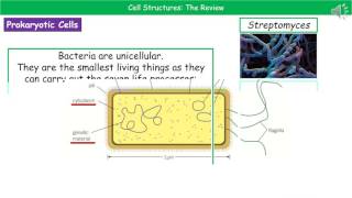 OCR Gateway A B1.1.1 and B1.1.2   Cell Structures Summary