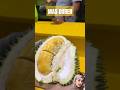 REVIEW DURIAN MASMUAR || BANJARNEGARA ~ MAS DUREN #durian #kuliner #fruit #durianmasmuar #masduren