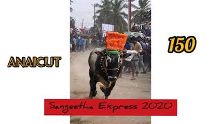 Sangeetha Express 150 | Anaicut 2020 | எருது கட்டு | Vellore top bulls 🔥❤️