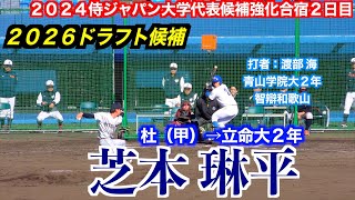 【２０２６ドラフト候補】芝本琳平（社＜甲＞→立命館大２年）投球練習及び実戦！侍ジャパン大学代表候補強化合宿ケース打撃【２０２４／１２／１＠坊ちゃんスタジアム】