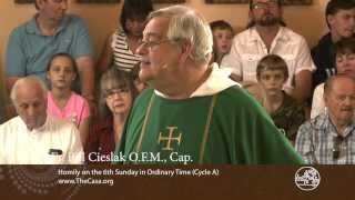 Homily 6th Sunday in Ordinary Time (Cycle A) Fr Bill