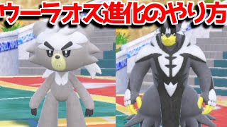 【ポケモンSV】HOME解禁 ダクマ ウーラオス 入手方法 進化方法 攻略【ポケモン スカーレット・バイオレット】