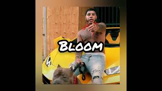 (FREE) "BLOOM", CJ WHOOPTY TYPE BEAT, UK DRILL TYPE BEAT, BOLLYWOOD SAMPLED DRILL BEAT
