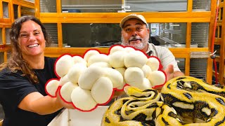 Hatching Beautiful Rare Baby Snakes with my Dad🤩🥚