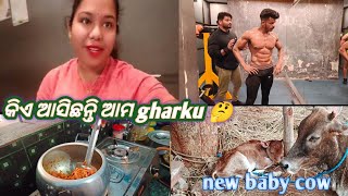 gharku କିଏ ଆସିଛନ୍ତି🤔କନ ବନେଇଛନ୍ତି ଭାଇଙ୍କ ପାଇଁ😋ଆଜି cow baby ହେଲା