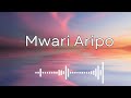 mwari aripo lyrics