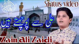 #Short #Video #Status #Zain #Ali #Zaidi _| Ali_A.S_Se_Puchtay _Hain