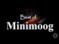 Best of Moog Minimoog Synthesizer ~ RetroSound Demo