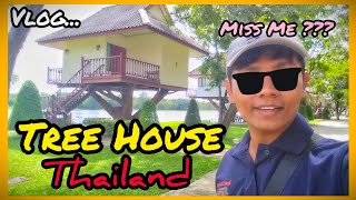 Tree House | บ้านต้นไม้บึงฉวากรีสอร์ทสุพรรณบุรี Thailand