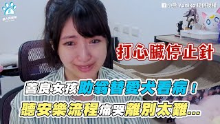 【善良女孩助翁替愛犬看病！ 聽安樂流程痛哭離別太難...】｜@yuniko0720