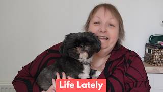 A Much Needed Catch-Up | Resetting My Life at 63