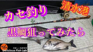 清水港カセ釣り黒鯛（チヌ）狙ってみたら・・・【山本釣り船店】