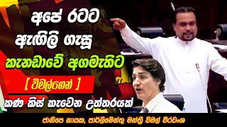 🔴 අපේ රටට ඇඟිලි ගැසූ කැනඩාවේ අගමැතිට විමල්ගෙන් කණ කිස් කැවෙන උත්තරයක්