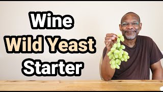 Wine Wild Yeast Starter