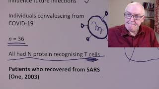 COVID, Immunity probably long lasting