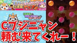 【妖怪ウォッチぷにぷに】不運なサブ垢幸運来いー！クリスタルブシニャン狙ってガシャしてみた！  Yo-kai Watch