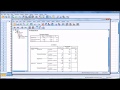 Calculating and Interpreting Partial Correlations in SPSS