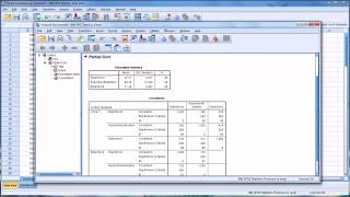 Calculating and Interpreting Partial Correlations in SPSS