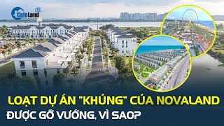 Vì sao loạt dự án “khủng” của Novaland được Phó thủ tướng yêu cầu lập tổ công tác gỡ vướng?