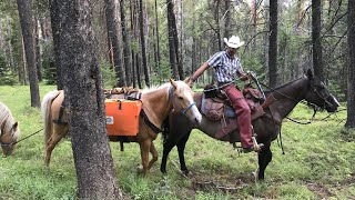 2018 CDT Thru hike ep. 25 part 1 Bob Marshall Wilderness