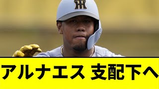 【阪神】アルナエス、支配下へｗｗｗｗｗｗ【2chスレ】