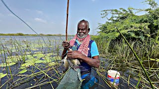 மக்களே 2025 முதல் நாள் காட்சி கலிங்கியில் துள்ளி குதித்து விளையாடும் மீன்கள் பிடித்தோம் #மாரியம்மன்