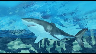 Roblox Oceanic || Great white shark hunts a porpoise