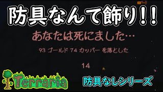 【テラリア】防具なんて飾りの世界でゆっくり生きる　#５【防具なしシリーズ】