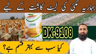 Best Spring Maize Hybrid For Late Sowing in Punjab || Bilal Kanju Official