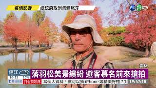 虎尾溪畔落羽松轉紅 宛如童話森林｜華視新聞 20210119