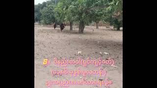 5။  ဝိနည်းစာဝါ(ရှင်ကျင့်ဝတ်)(၁၃၈၆ ခုနှစ်၊မူလတန်း)ဥုးအဂ္ဂဉာဏ၊မင်္ဂလာရေစဉ်။