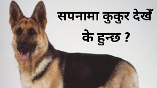 सपनामा कुकुर देखेँ के हुन्छ l Dog In Dream l Sapana Ko Fal Nepali