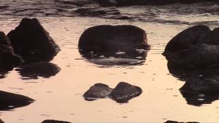 LowTide at Wawaloli Beach (Hawaii)