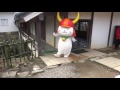 ひこにゃんパフォーマンス！