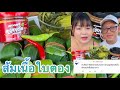 เว้าแบบนี้ไผ๋จะบ่สูน ส้มเนื้ื้อใบตองแกล้มผักกาดดอง |เขยอุบลคนกาฬสินธุ์