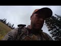 wyoming mule deer diy solo 2022