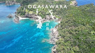 東京都 小笠原諸島 母島「蓬莱根海岸」ドローン空撮 OGASAWARA DRONE Movie