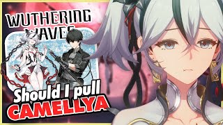 Pulling Camellya in Wuthering wave 1.4 update