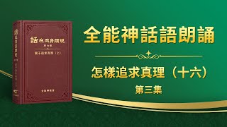 關于追求真理《怎樣追求真理（十六）》第三集