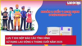 Lưu ý khi nộp Báo cáo tình hình sử dụng lao động 6 tháng cuối năm 2025 | Báo Lao Động