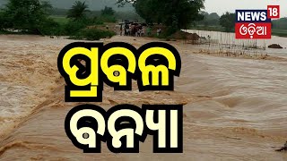 ପ୍ରବଳ ବର୍ଷା, ଉବୁଟୁୂବୁ କୋରାପୁଟ ଜିଲ୍ଲା | Flooding In Koraput Amid Incessant Rains | Rain News