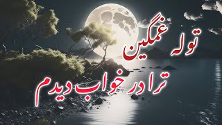 توله غمگین ترا در خواب دیدم