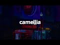 slchld - camellia (Lyrics)