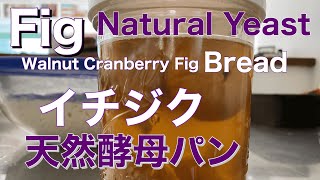 SUB イチジクの自家製天然酵母パン クランベリー無花果胡桃 ストレート法・Cranberry Walnut Fig Bread with Fig Natural Yeast, Delicious!